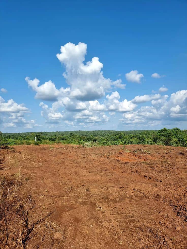 Land Sales & Property Acquisition